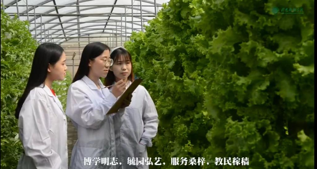 bevictor伟德招生宣传短片
