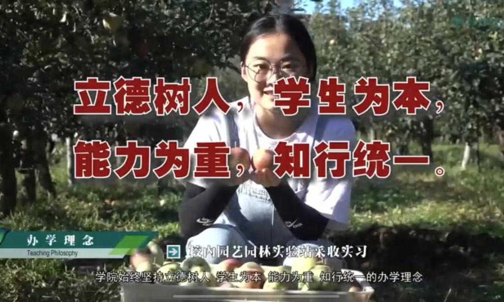 bevictor伟德宣传片